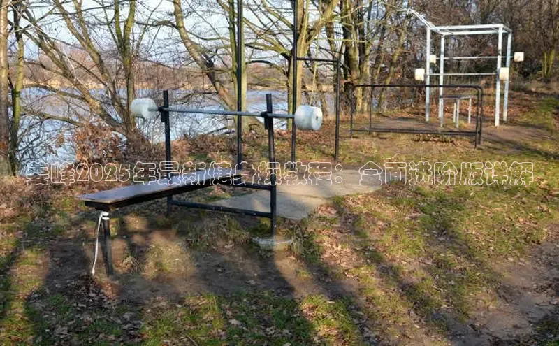 ob视讯,ob视讯平台